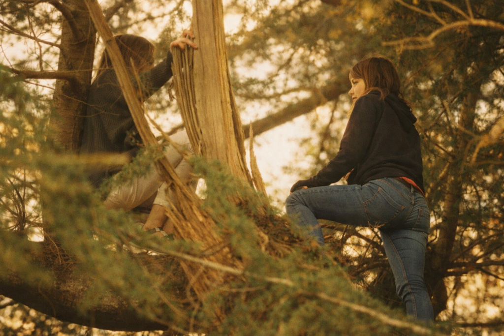 20260330_1447_Image Generation_remix_01kmzch7a3e05srzc89rq1gdmm