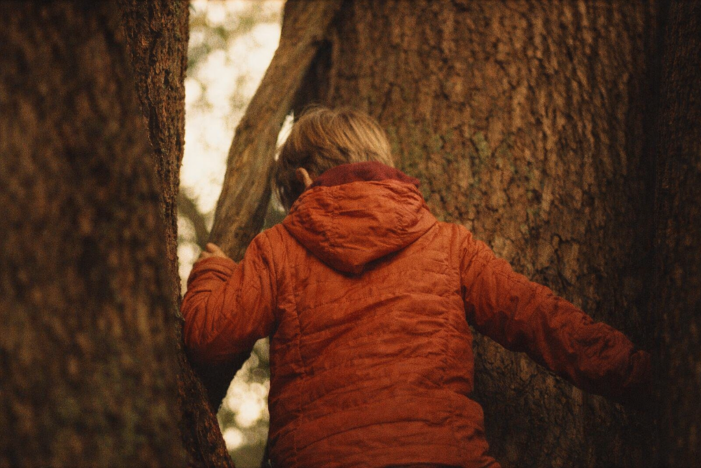 20260330_1606_Image Generation_remix_01kmzh1pzxem09r1nrt9a4wa06